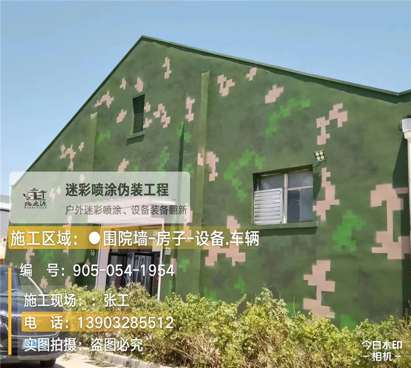 阳江外墙数码迷彩漆施工报价清单(100㎡标准墙面测算)